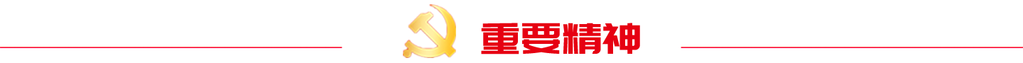 合肥通用院聚焦二十大專題頁面1(1).png